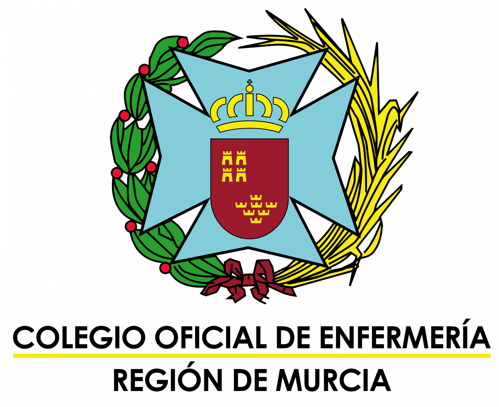 Colegio Enfermería Logo