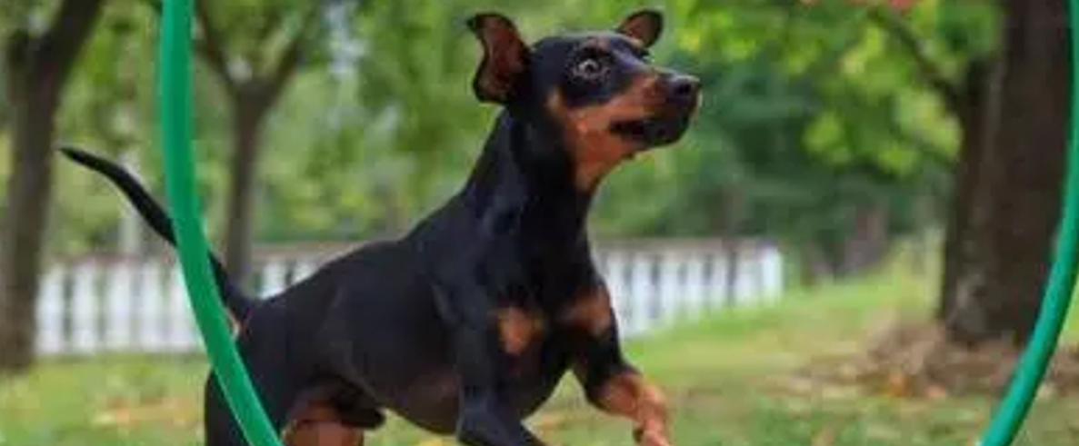 ADIRMU realiza una ludoteca infantil con la presentación del cuento Wito tiene una flor en la cabeza