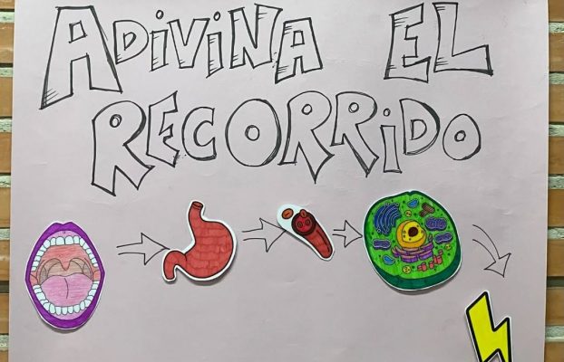 La princesa Insulina proporcionó una jornada muy especial llena de aprendizaje y diversión a los niños y niñas de ADIRMU