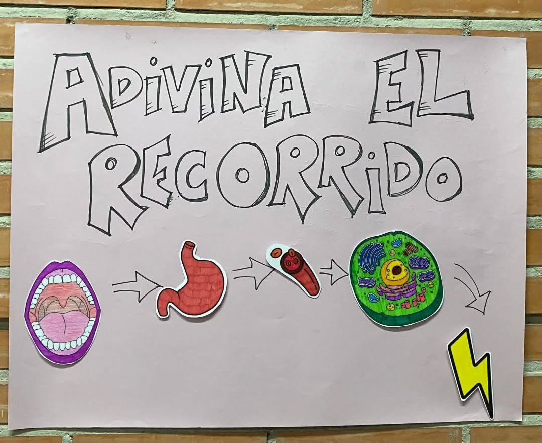 La princesa Insulina proporcionó una jornada muy especial llena de aprendizaje y diversión a los niños y niñas de ADIRMU