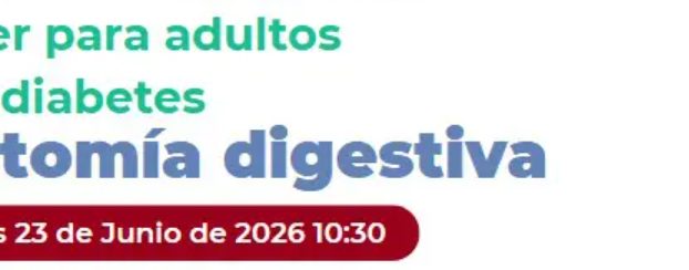 Anatomía digestiva y diabetes: nuevo taller para comprender la salud intestinal
