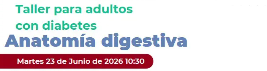 Anatomía digestiva y diabetes: nuevo taller para comprender la salud intestinal
